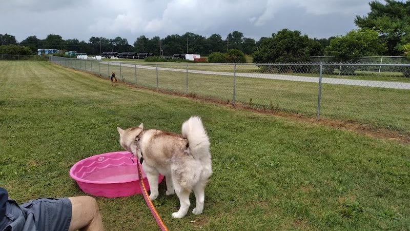 Wapak Dog Park - Wapakoneta, OH