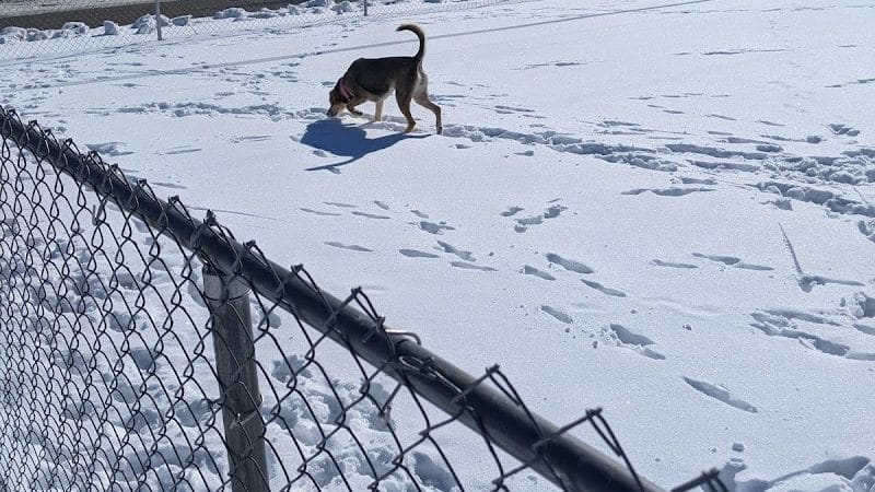 Wapak Dog Park - Wapakoneta, OH