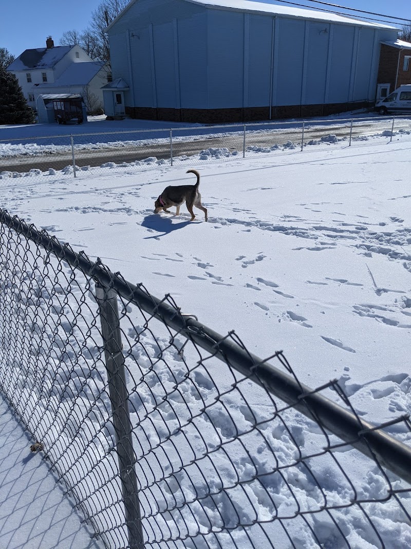 Wapak Dog Park - Wapakoneta, OH