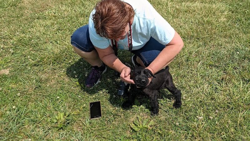Wapak Dog Park - Wapakoneta, OH