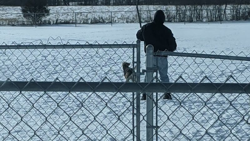 Wapak Dog Park - Wapakoneta, OH
