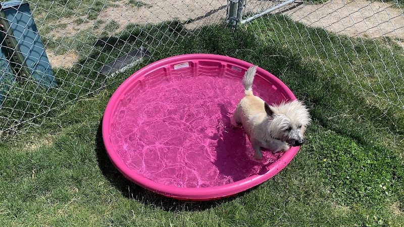Wapak Dog Park - Wapakoneta, OH