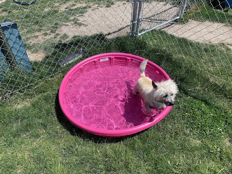 Wapak Dog Park - Wapakoneta, OH