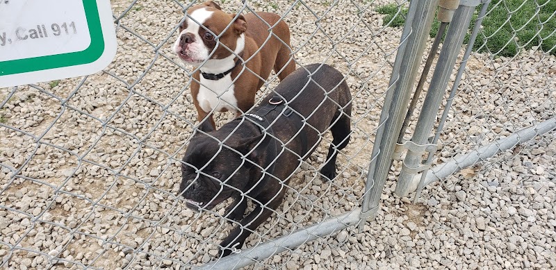 Wapak Dog Park - Wapakoneta, OH