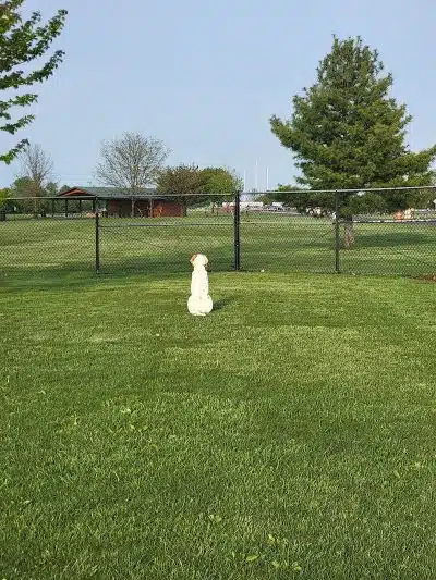 Warminster Dog Park - Warminster, PA