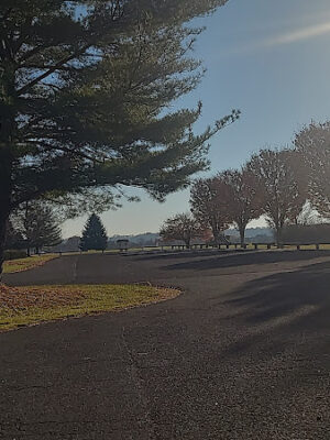 Turk Park III