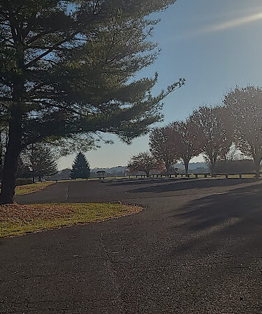 Turk Park III