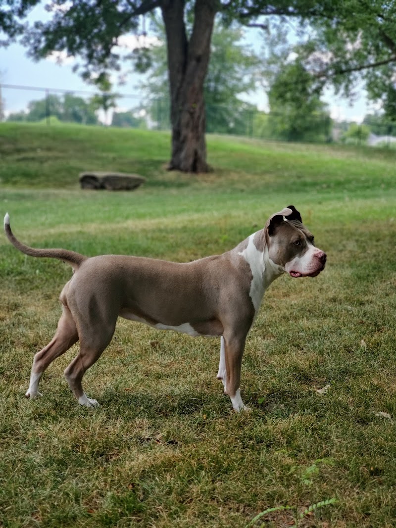 Dog Park - Washington Court House, OH