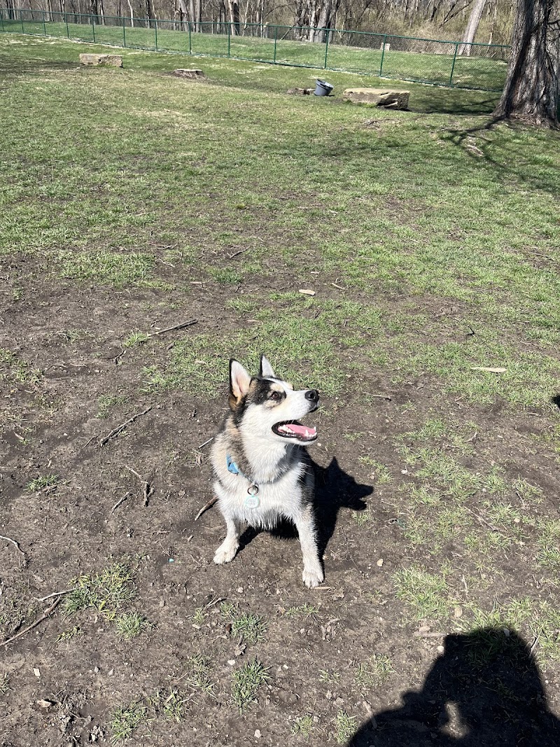 Dog Park - Washington Court House, OH