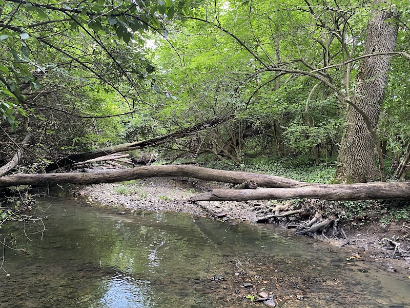 Beechwood Springs Park - Washington Township, OH