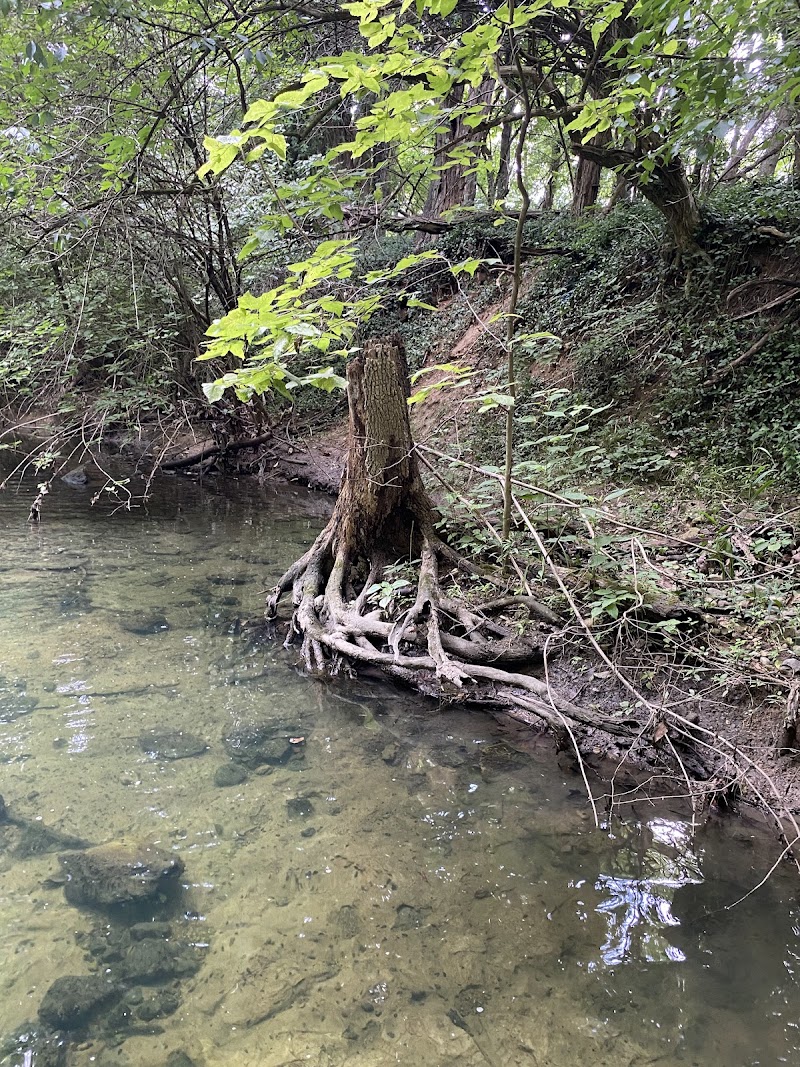 Beechwood Springs Park - Washington Township, OH