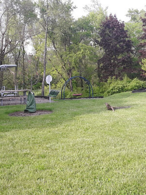 Beechwood Springs Park
