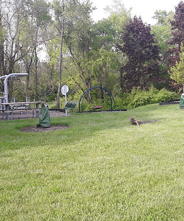 Beechwood Springs Park