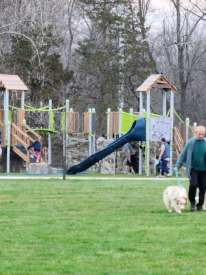 Forest Field Park