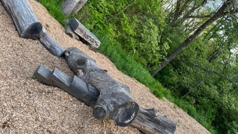 Forest Field Park - Washington Township, OH
