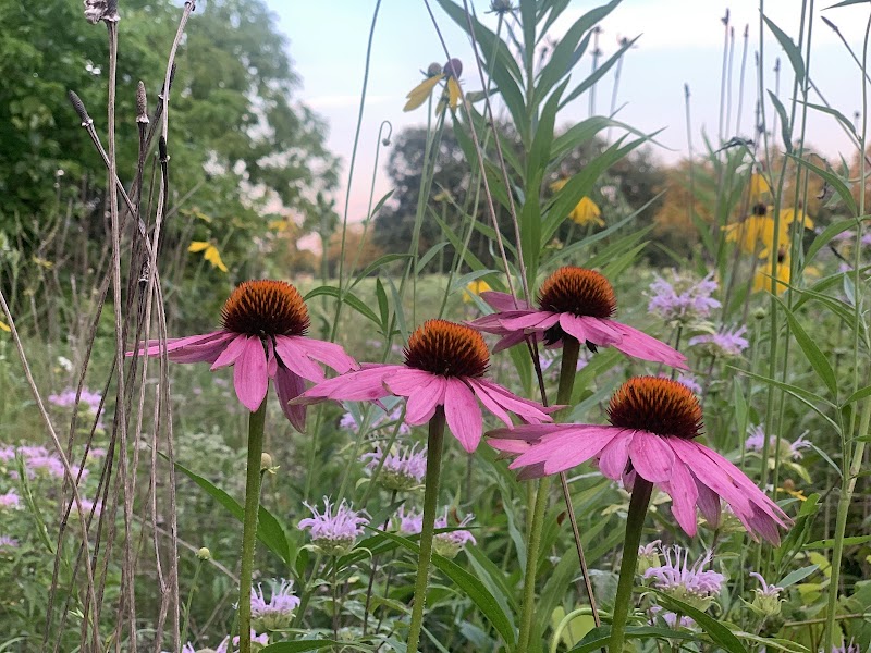 Iron Horse Park - Washington Township, OH