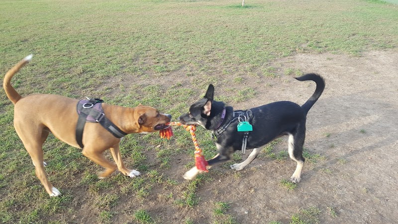 Scentral Dog Park - Waterford, NY