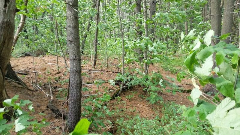 Waterville Dog Park - Waterville, ME
