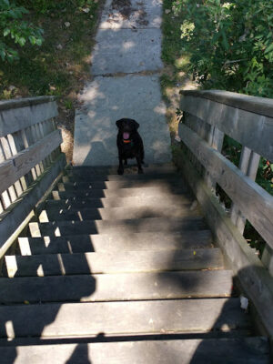 Waterworks Park