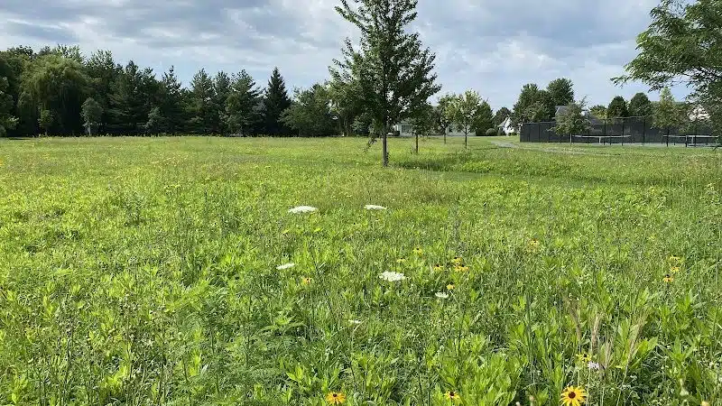 Homecoming Park - Wauseon, OH