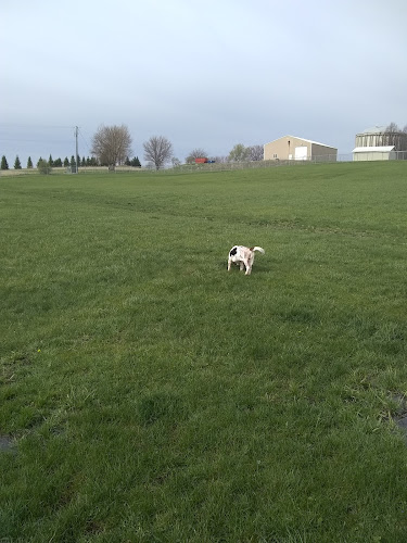 Waverly Dog Park