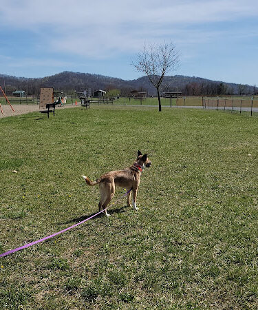 Bristol Park