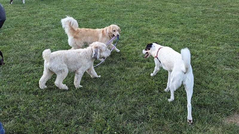 Friends of Radnor Trail Park - Wayne, PA