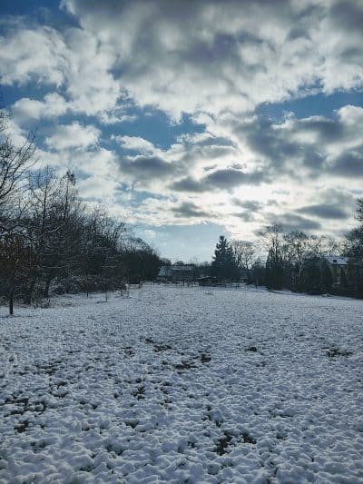 Friends of Radnor Trail Park - Wayne, PA