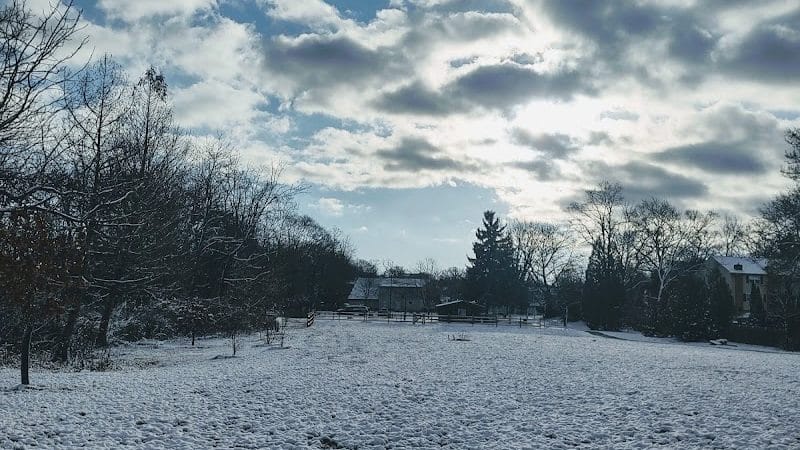 Friends of Radnor Trail Park - Wayne, PA