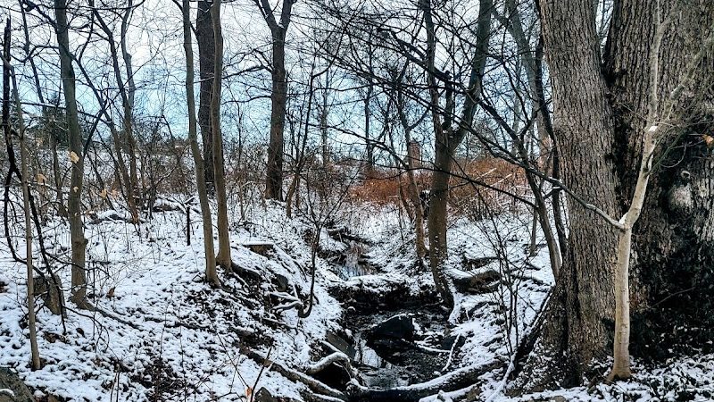 Friends of Radnor Trail Park - Wayne, PA