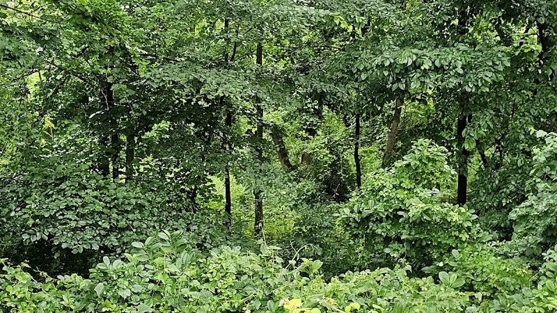 Friends of Radnor Trail Park - Wayne, PA