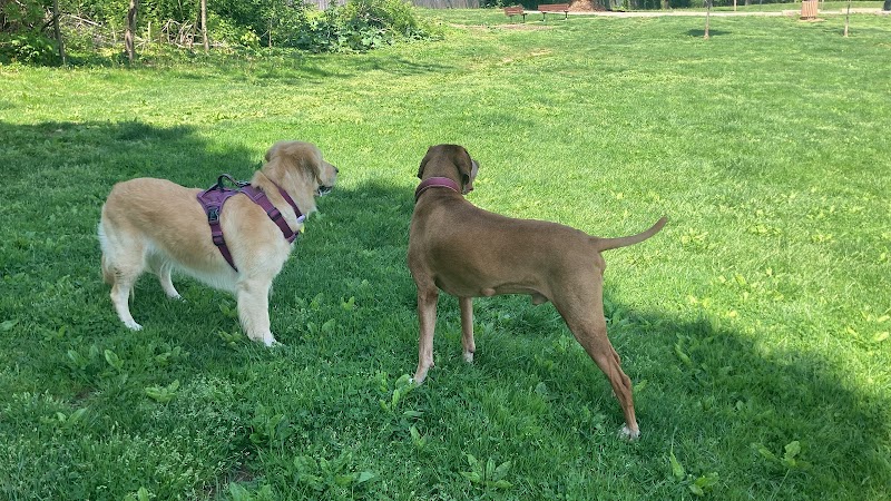 Harford Park - Wayne, PA