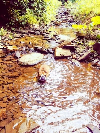 Harford Park - Wayne, PA