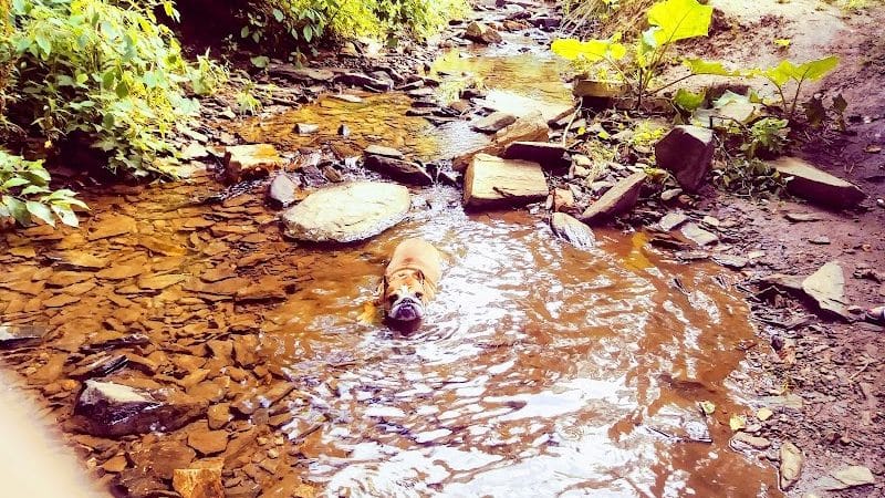Harford Park - Wayne, PA