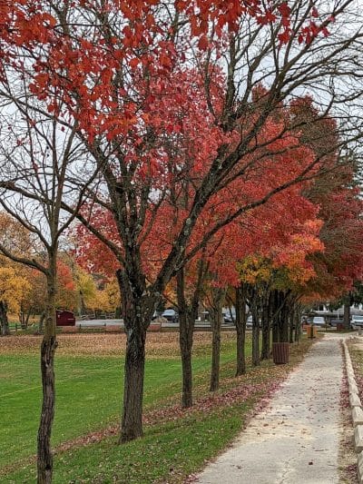 James C. Dittmar Park - Wayne, PA