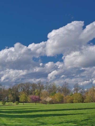James C. Dittmar Park - Wayne, PA
