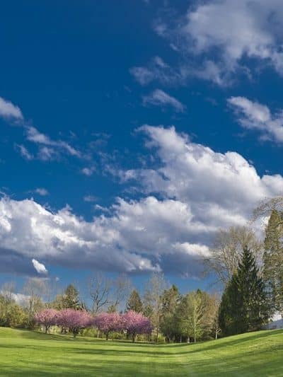 James C. Dittmar Park - Wayne, PA