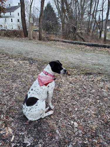 Sandy Valley Trail
