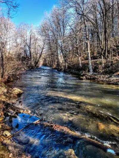 Waynesville Dog Park - Waynesville, NC