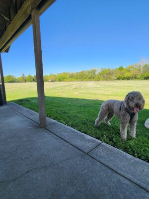 Bowman Park