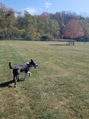 Hisey Park