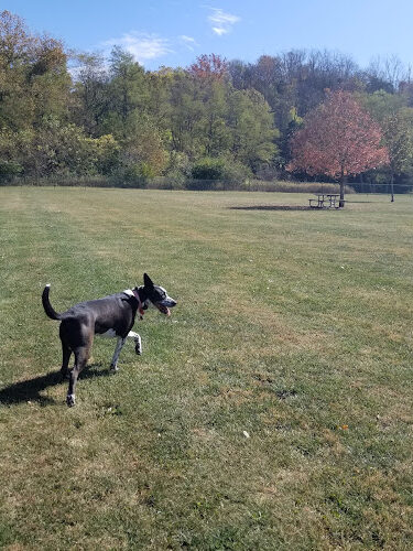 Hisey Park