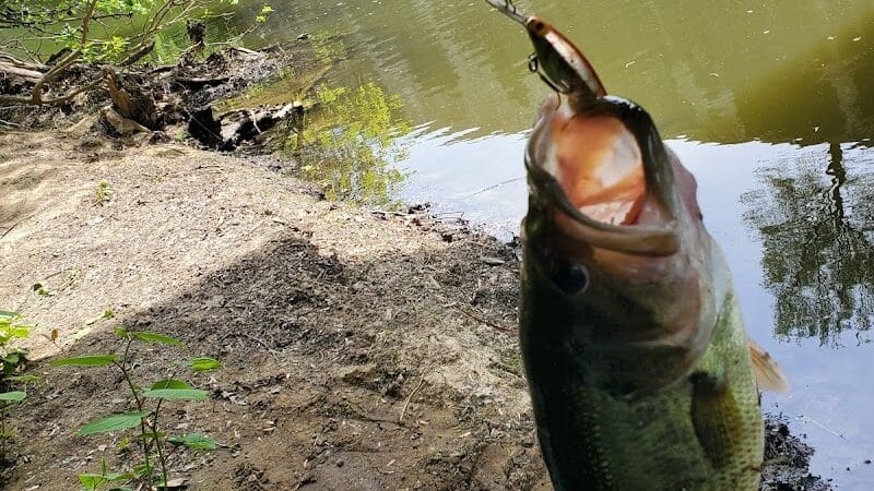 Wellington Reservoir Park - Wellington, OH
