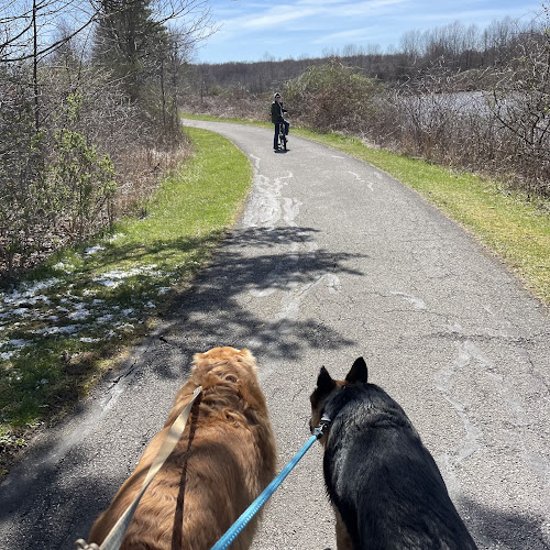 Wellington Reservoir Park - Wellington, OH