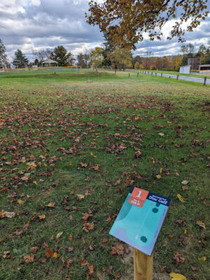 Hammond park
