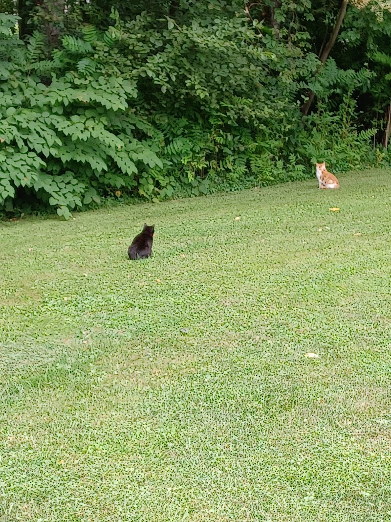 Hammond park - Wellsville, OH