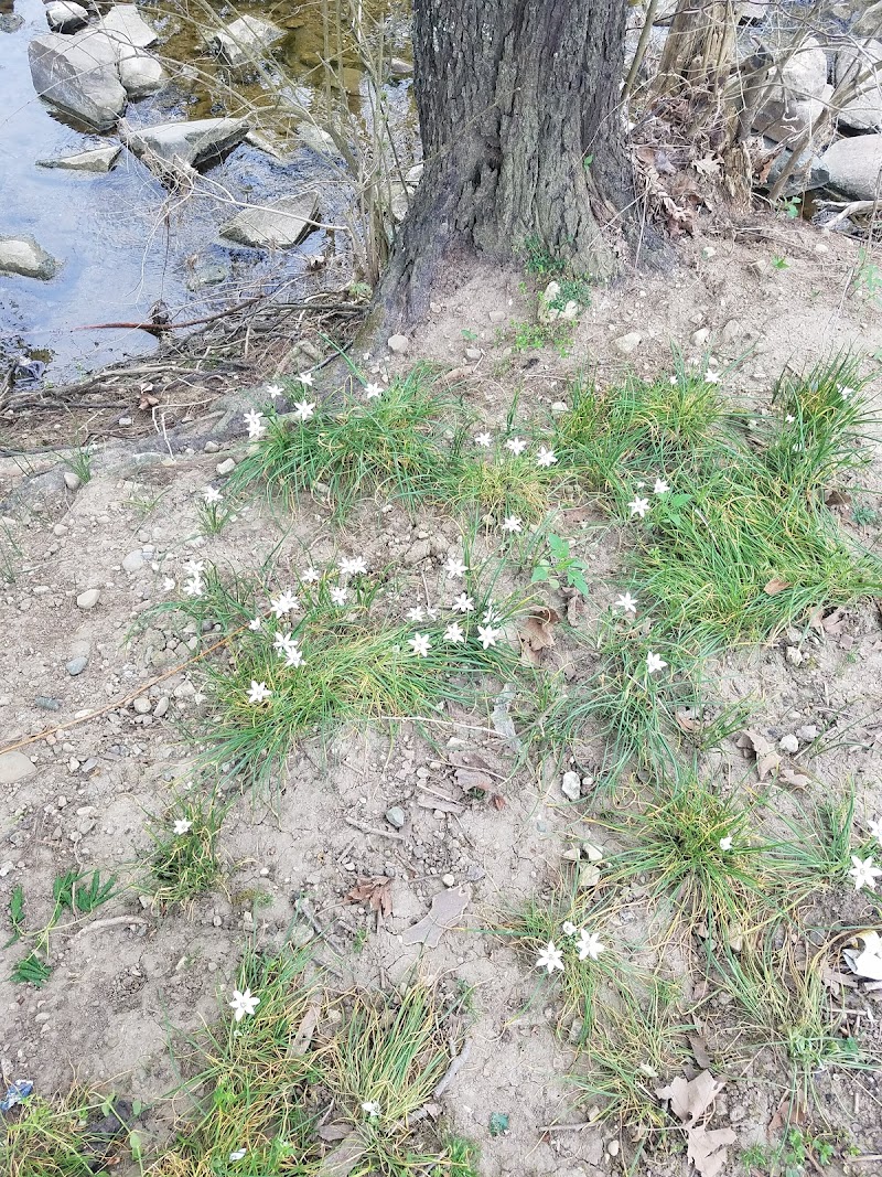 Smith Street Park - West Alexandria, OH