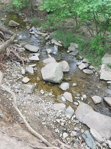 Smith Street Park