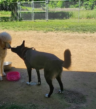 Hopewell Dog Park - West Aliquippa, PA