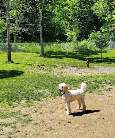 Hopewell Dog Park